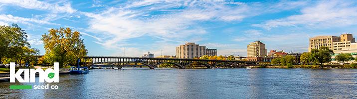 bridge in center blue sky above and river below with buildings