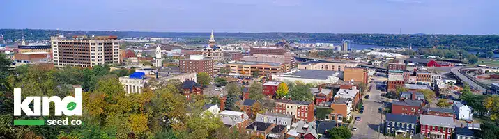 Marijuana Seeds For Sale in Iowa