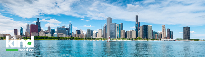 Michigan skyline over the water with clouds and Kind Seed Logo