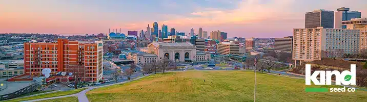 Marijuana Seeds For Sale in Missouri