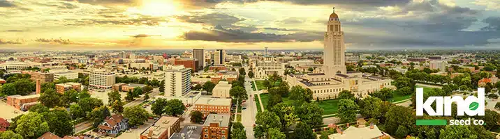 Marijuana Seeds For Sale in Nebraska