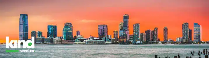 Marijuana Seeds For Sale in New Jersey