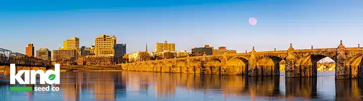 Marijuana Seeds For Sale in Pennsylvania