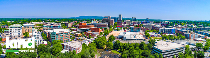 Marijuana Seeds For Sale in South Carolina Online