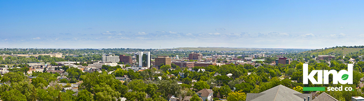 Buy Marijuana Seeds Online in South Dakota