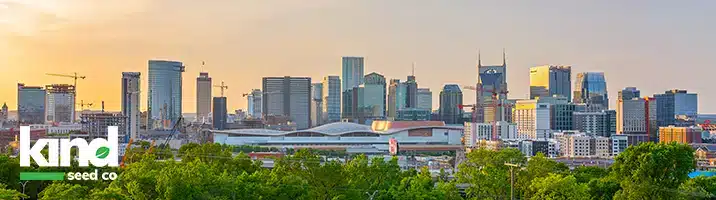 Marijuana Seeds For Sale in Tennessee