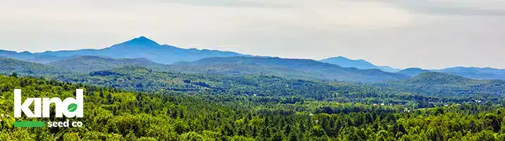 Marijuana Seeds for Sale in Vermont