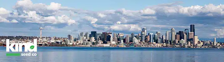 Marijuana Seeds for Sale in Washington