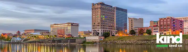 Marijuana Seeds for Sale in West Virginia