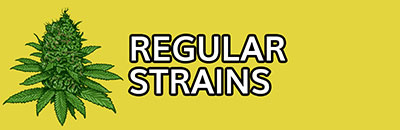 Regular Strains