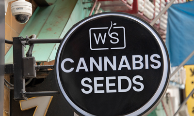 Gallery about brand Weed Seeds Usa