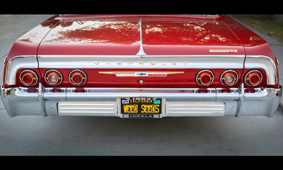 Gallery about brand Weed Seeds Usa