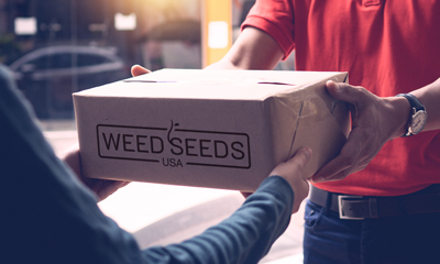 Gallery about brand Weed Seeds Usa