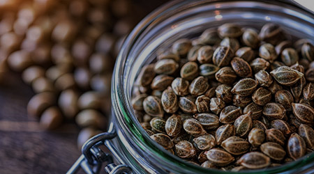 Storing Seeds