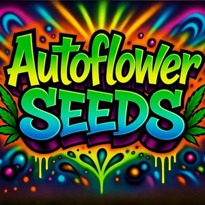 Autoflower Seeds