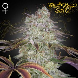 AlienZ Feminized By Green House Seed Company