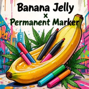 Banana Jelly x Permanent Marker Photo Fem