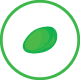 Germinating Old Seeds Icon