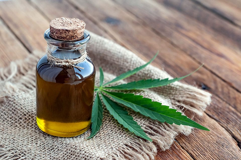 What’s The Difference Between Hemp Seed Oil And CBD Oil?