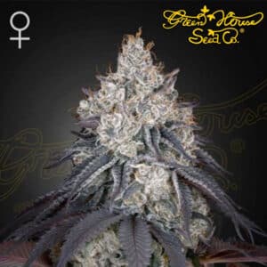 Lemon Orange Feminized By Green House Seed Company