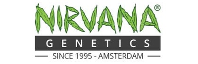 Nirvana Seeds
