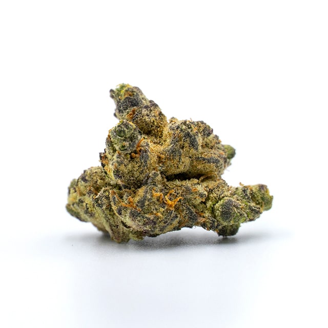 kush mints photo fem cannabis seed pack from Kind Seed Co