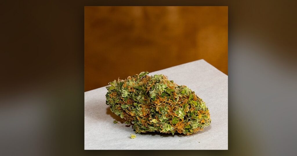 Maui Wowie — Kind Seed Co