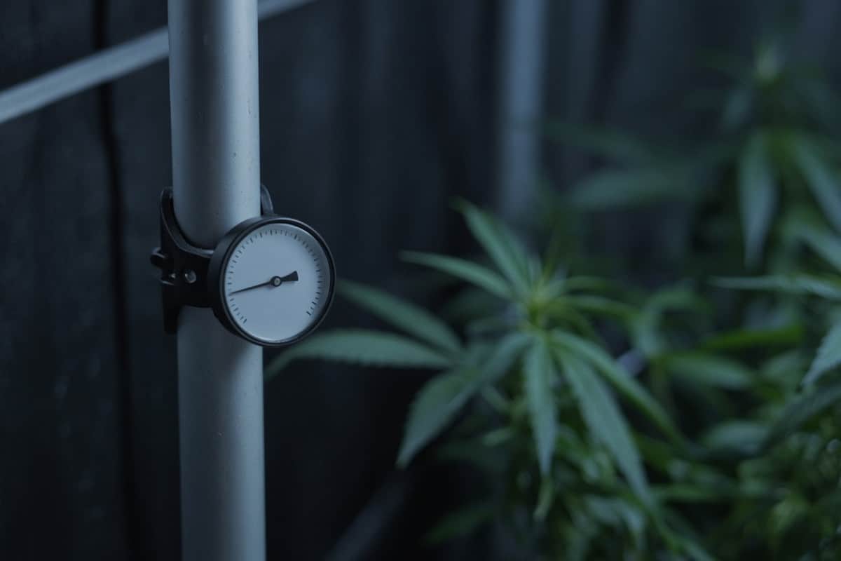 Thermometer or hygrometer in a cool grow space