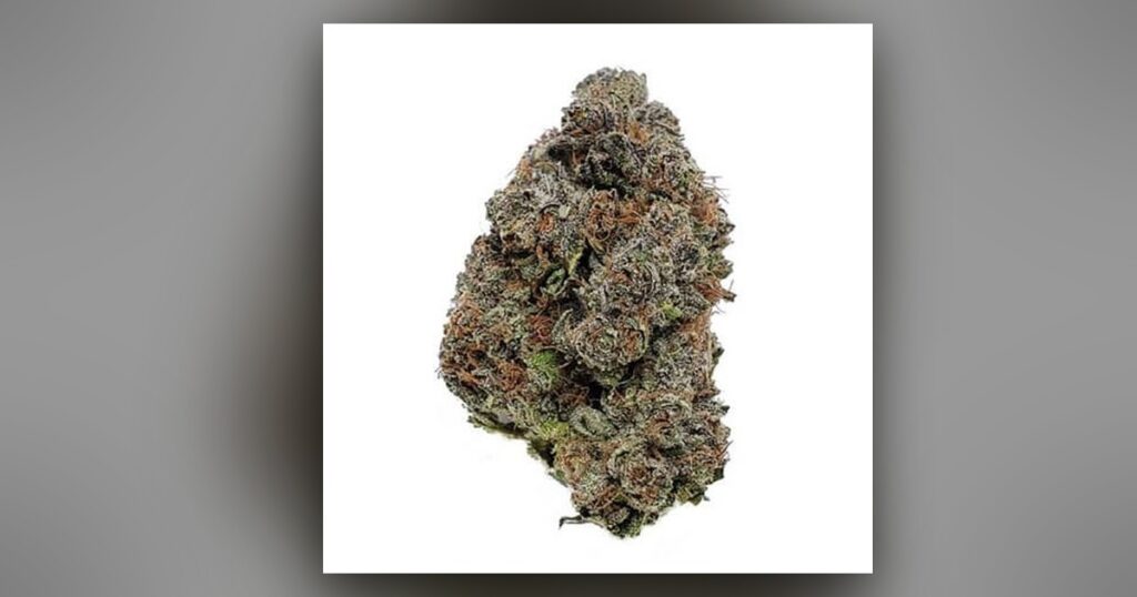 Purple Gelato — Kind Seed Co