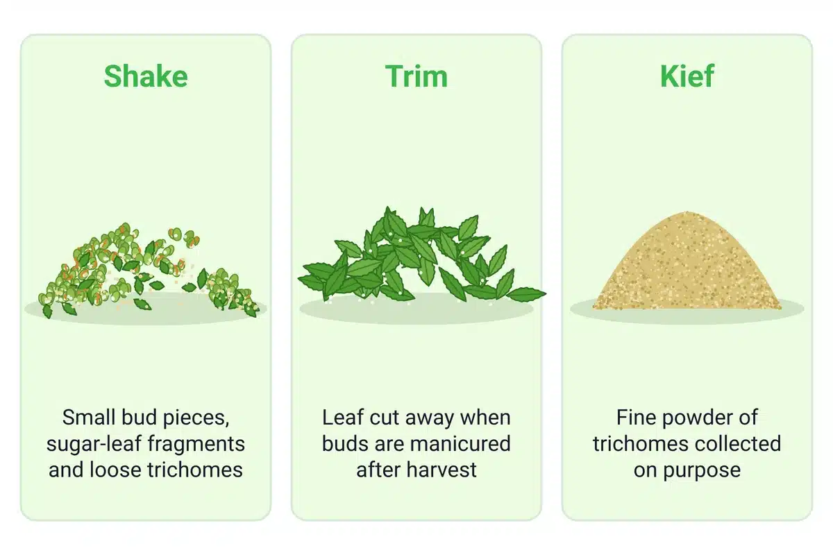 Comparison graphic of shake, trim and kief: loose bud and leaf pieces, trimmed sugar leaves, and fine trichome powder