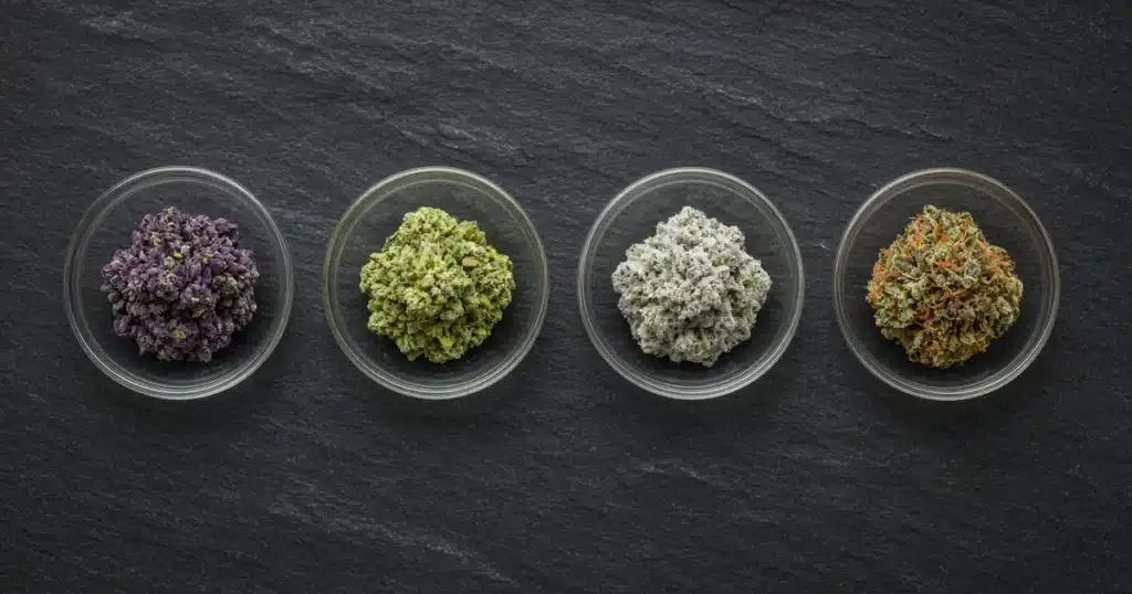 Four distinct cannabis flowers, purple, lime, frosty white and orange-haired, in glass dishes on slate
