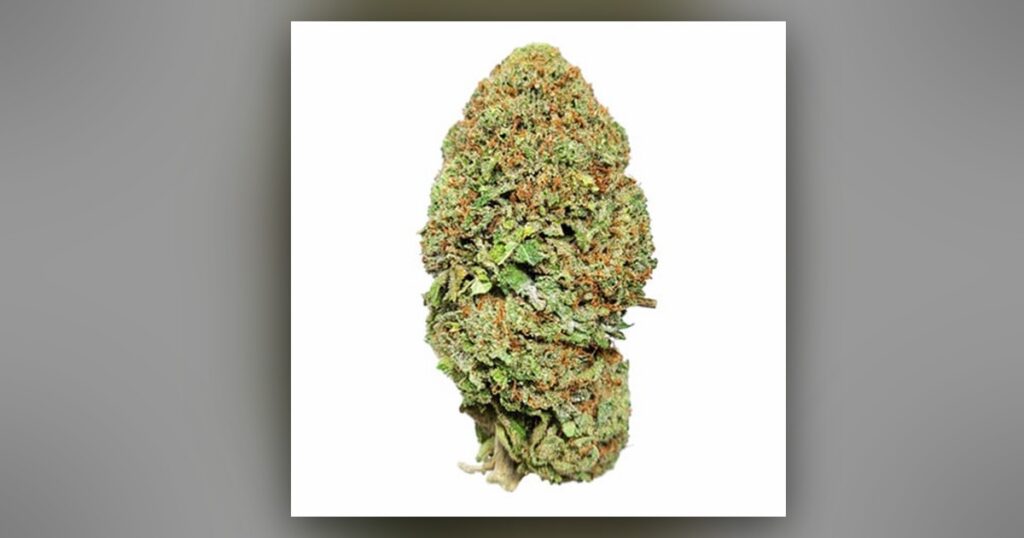 Trainwreck — Kind Seed Co