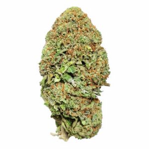 Trainwreck photoperiod feminized cannabis seed pack from Kind Seed Co