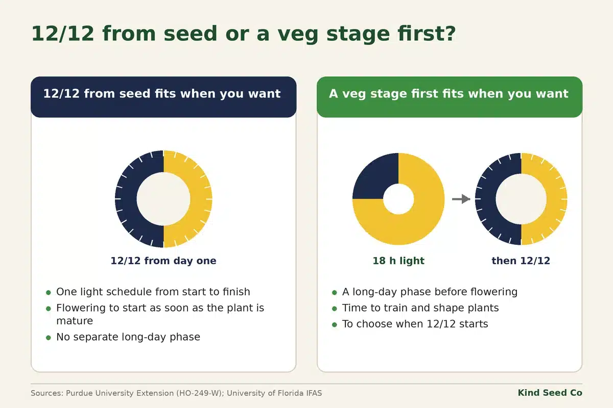 Diagram comparing when 12/12 from seed fits and when a long-day veg stage first fits, with a light schedule for each