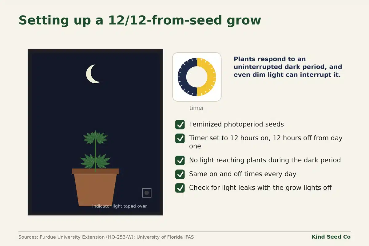 Diagram of a dark grow tent with a seedling, a 12-hour timer and a checklist for setting up 12/12 from seed