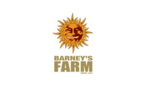 Barney's Farm Usa Products