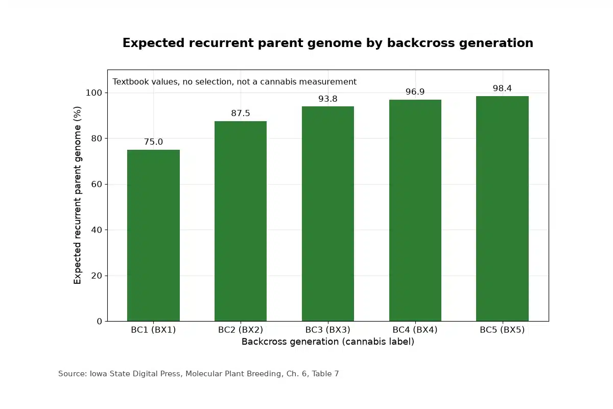 Bar chart of expected recurrent parent genome by backcross generation, y axis from 0 percent