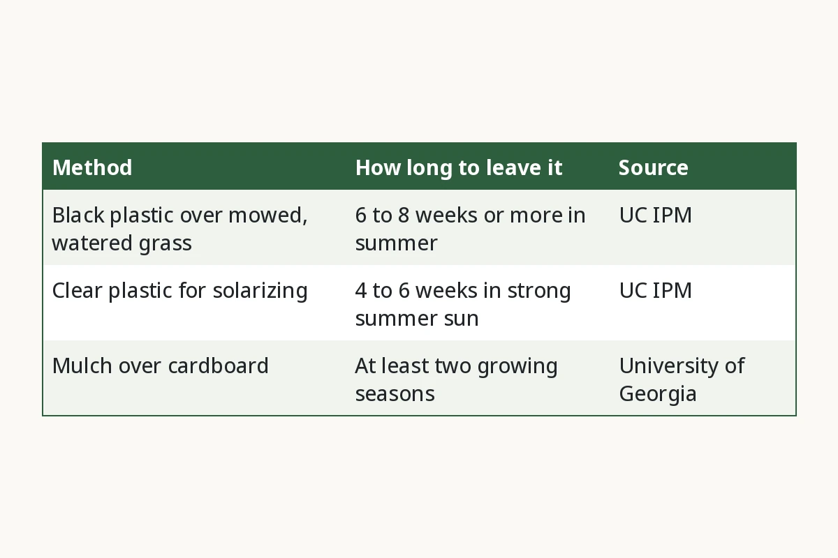 Bermudagrass Cover Methods Compared. Method, How long to leave it, Source. Black plastic over mowed, watered grass, 6 to 8 weeks or more in summer, UC IPM. Clear plastic for solarizing, 4 to 6 weeks in strong summer sun, UC IPM. Mulch over cardboard, At least two growing seasons, University of Georgia.