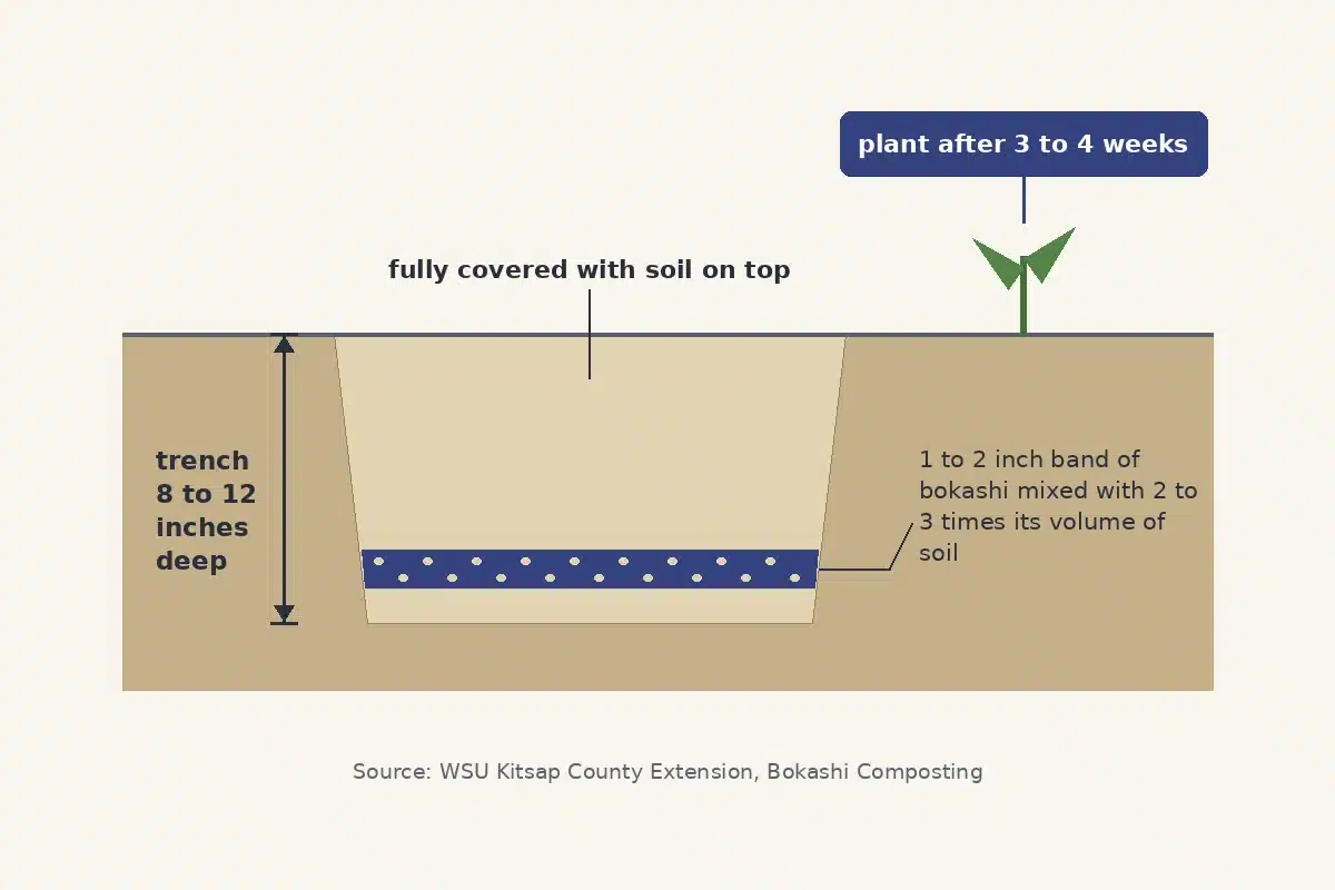 Diagram of a bokashi trench 8 to 12 inches deep, mixed with soil and fully covered.