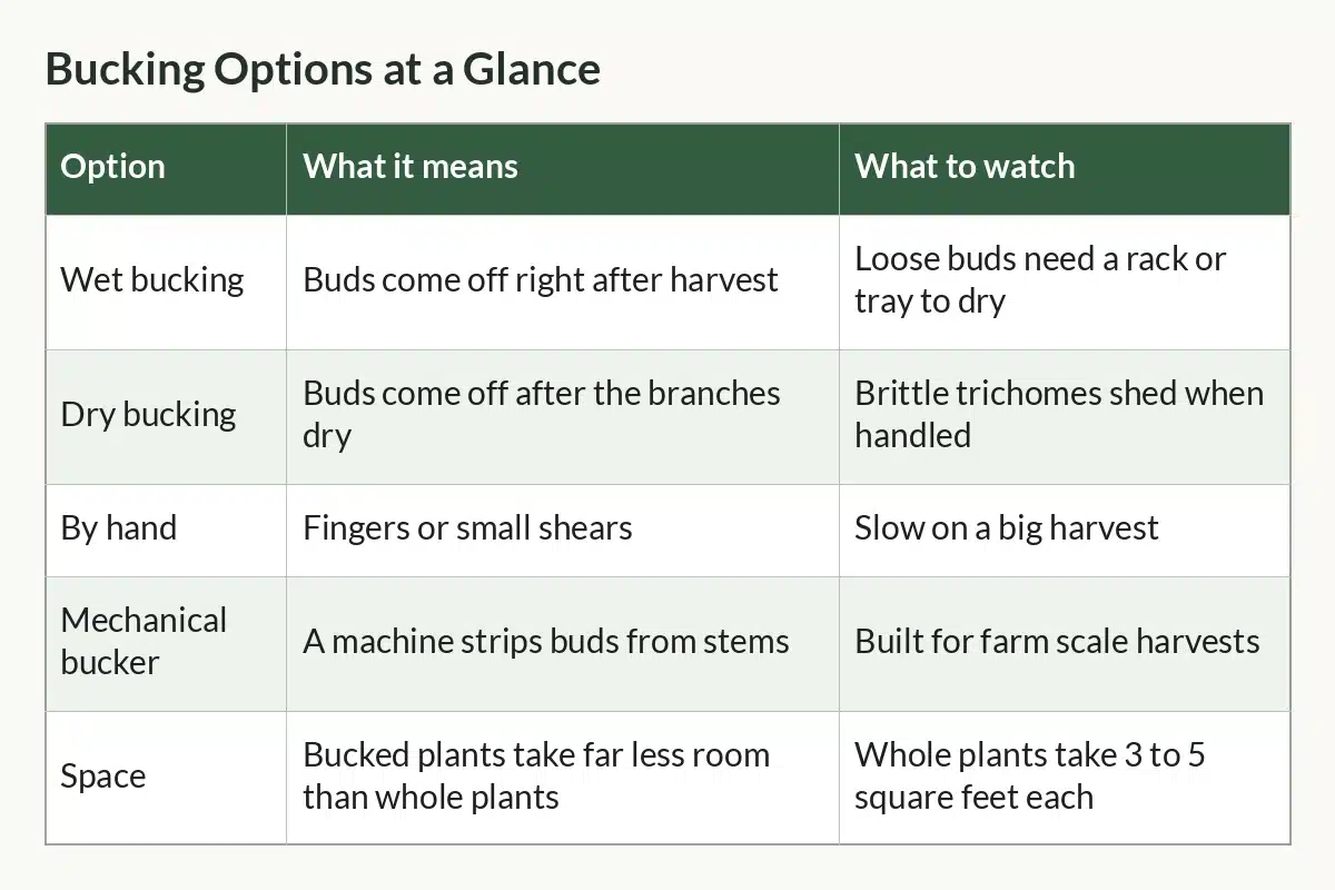 Table graphic of Bucking Options at a Glance with columns Option, What it means, What to watch and 5 rows