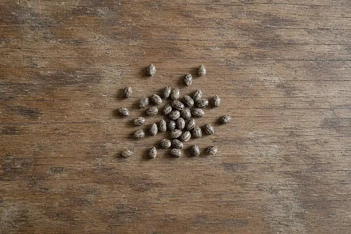 Cannabis seeds scattered on a wooden table
