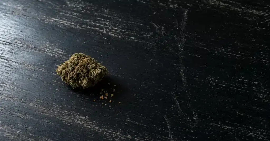 Aged cannabis bud with amber trichomes on a dark table