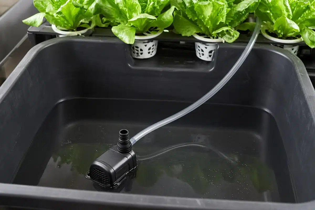 Clean tubing connected to a hydroponic pump