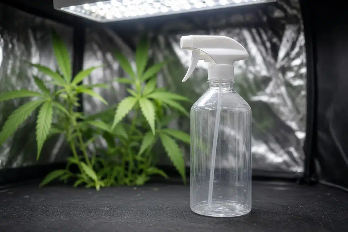 A clear unlabelled spray bottle next to green cannabis leaves in a grow tent