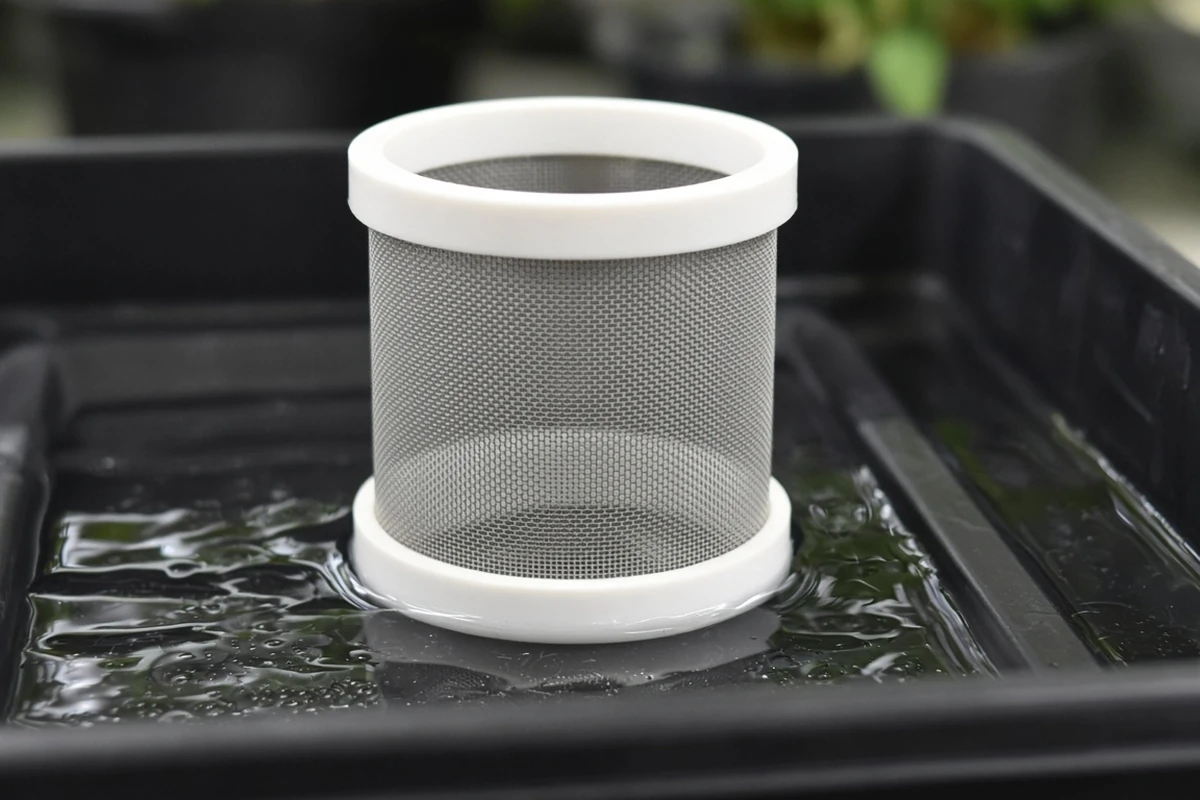 Close view of a screened overflow pipe