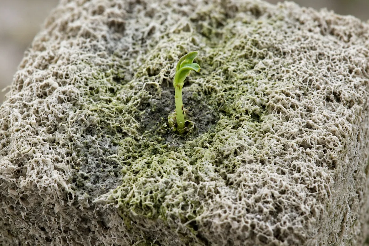 Close view of green film on the top of a cube
