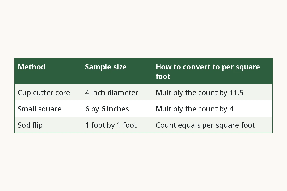 Crane Fly Sampling Methods Compared. Method, Sample size, How to convert to per square foot. Cup cutter core, 4 inch diameter, Multiply the count by 11.5. Small square, 6 by 6 inches, Multiply the count by 4. Sod flip, 1 foot by 1 foot, Count equals per square foot.
