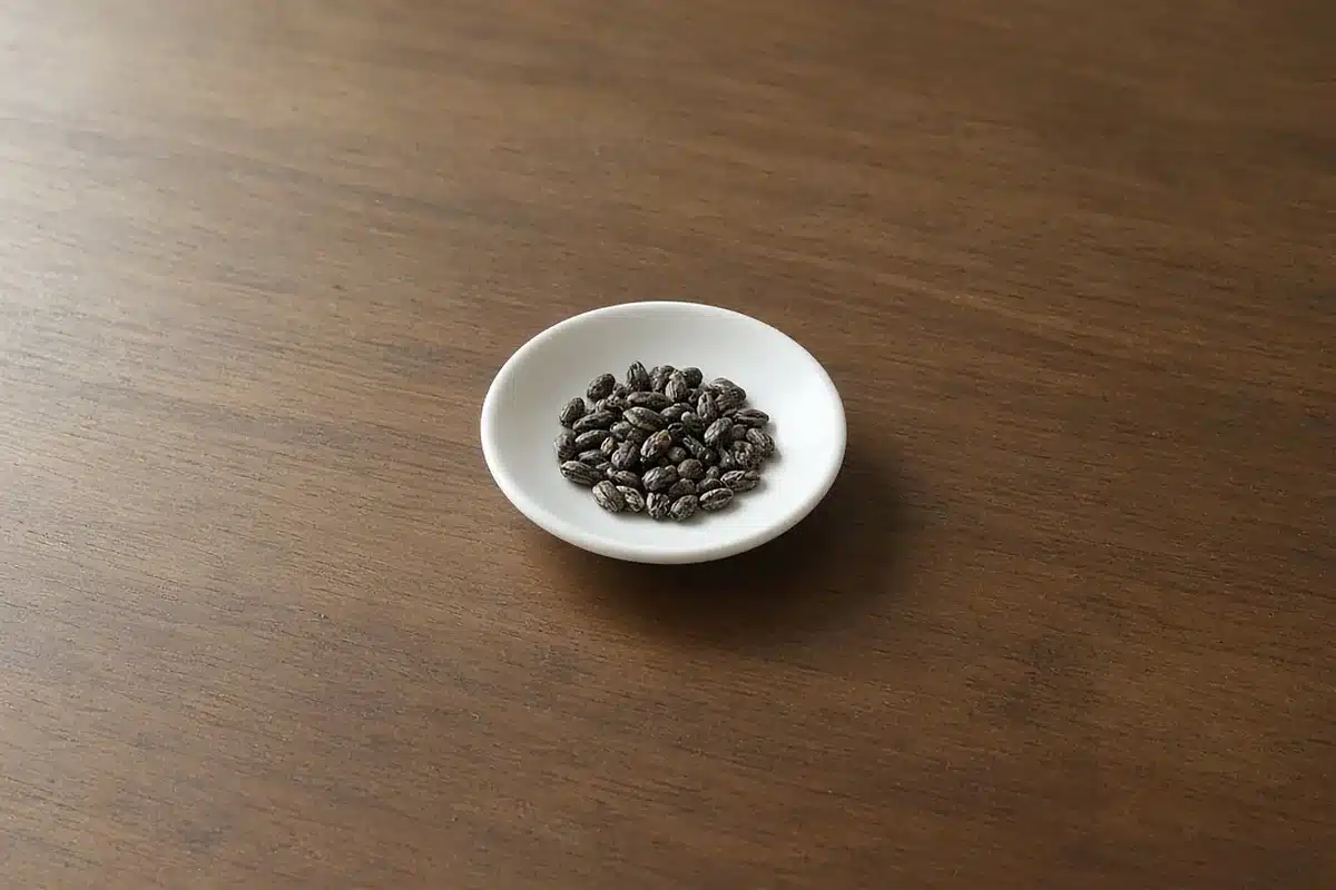 Feminized cannabis seeds in a small dish