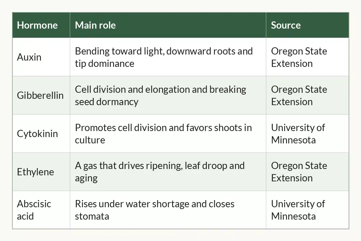 Table graphic of Cannabis Plant Hormones at a Glance for cannabis growers, 5 rows by 3 columns