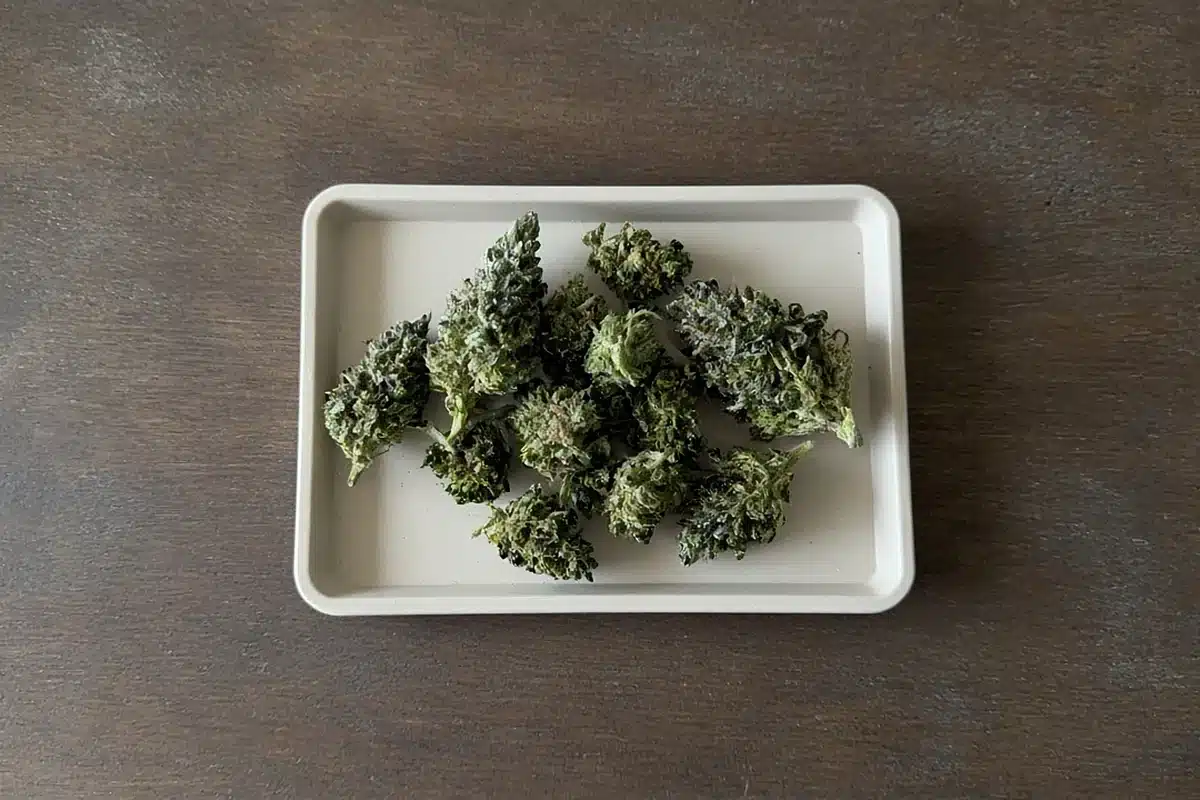 Freshly wet trimmed cannabis buds on a tray